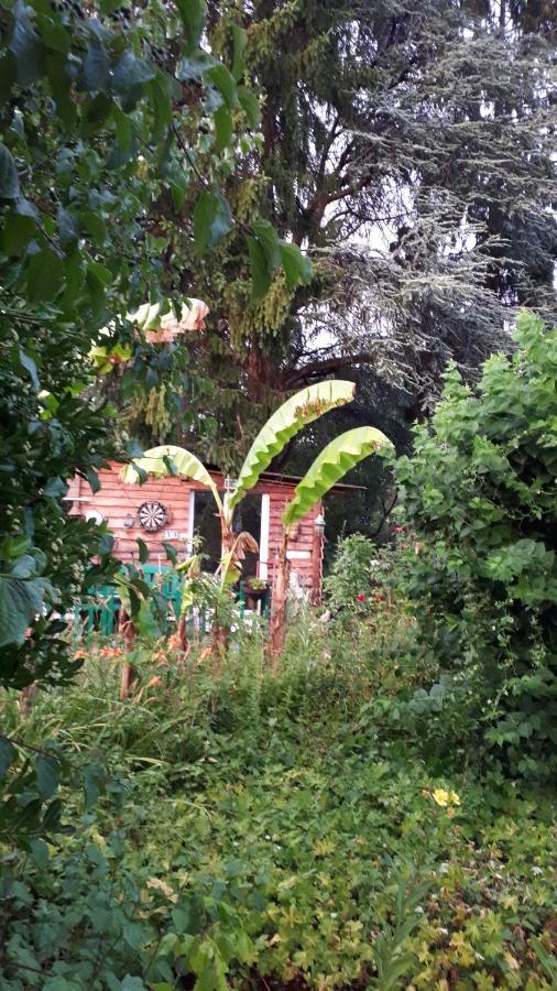 Le Jardin Des Merveilles Saint-Pierre-d'Autils Εξωτερικό φωτογραφία