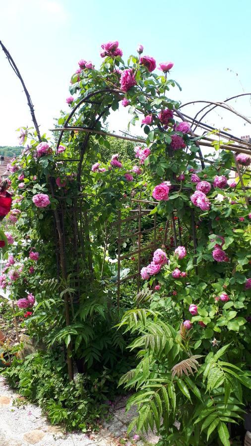Le Jardin Des Merveilles Saint-Pierre-d'Autils Εξωτερικό φωτογραφία